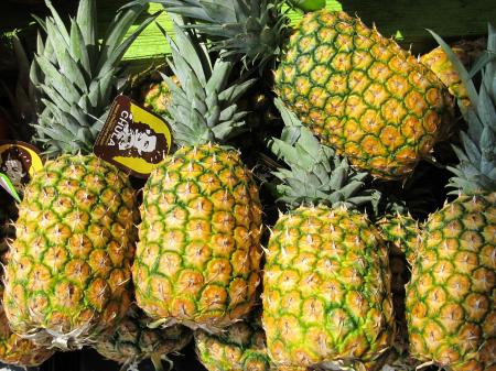 Fresh Pineapples