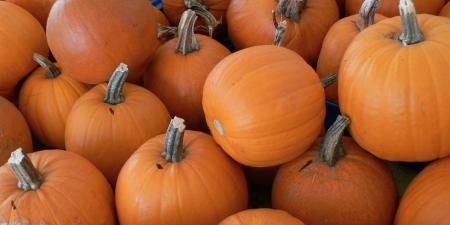 Fresh Pumpkins