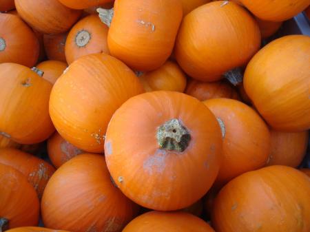 Fresh Pumpkins