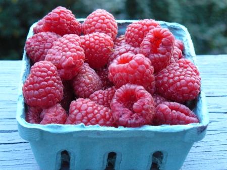 Fresh Raspberries