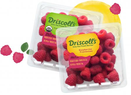 Fresh Raspberries