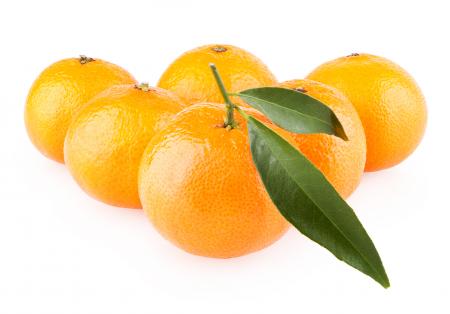 Ripe oranges