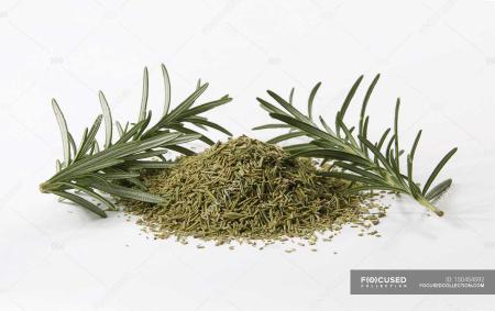 Fresh Rosemary