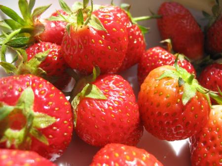 Fresh Strawberries