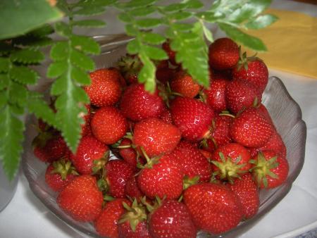 Fresh Strawberries