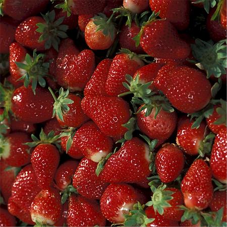 Fresh Strawberries