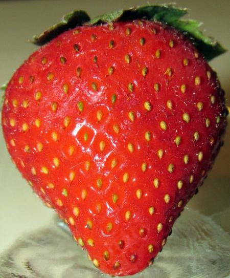 Fresh Strawberry