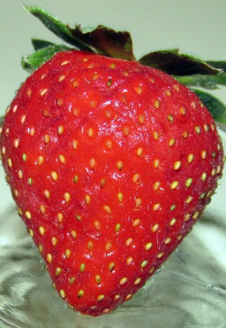 Fresh Strawberry