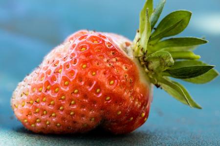 Fresh Strawberry