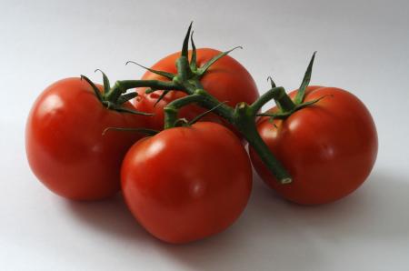 Fresh Tomatoes