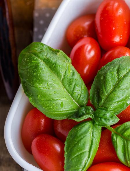 Fresh Tomatoes