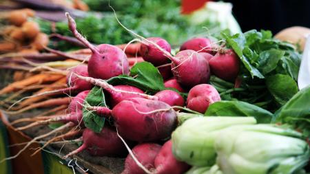 Fresh Vegetables