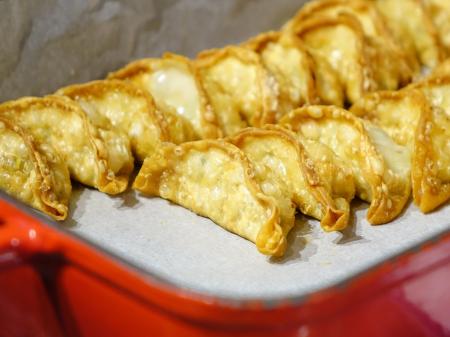 Fried Gyoza