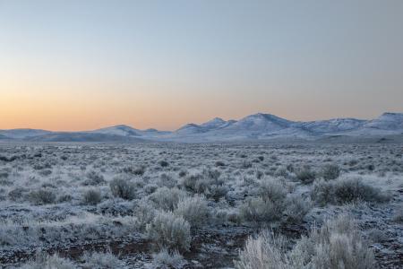 Frost on Sagebrush below Steens Mountain, Oregon