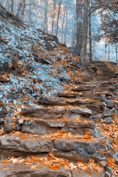 Frosty Fall Staircase - HDR