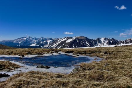 Frozen Alpine