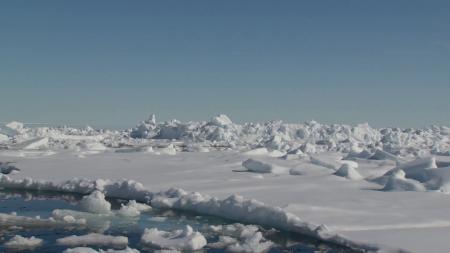 Frozen Arctic