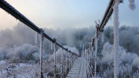 Frozen Bridge