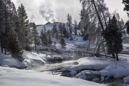 Frozen Landscape