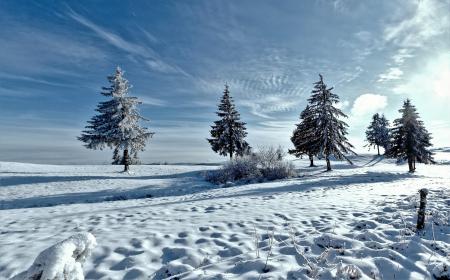 Frozen Mountain