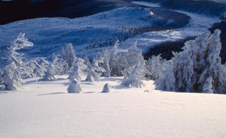 Frozen Mountain