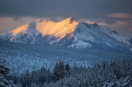 Frozen Mountain