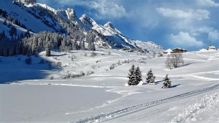 Frozen Mountain