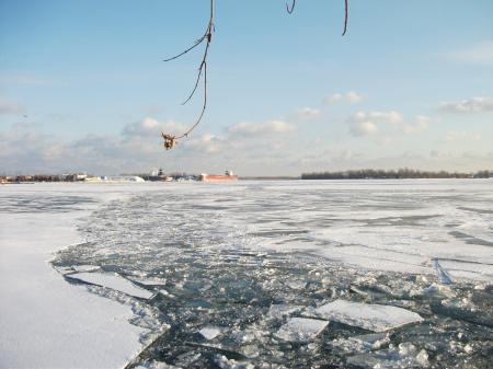 Frozen Toronto harbour, 2018 01 17 -ad