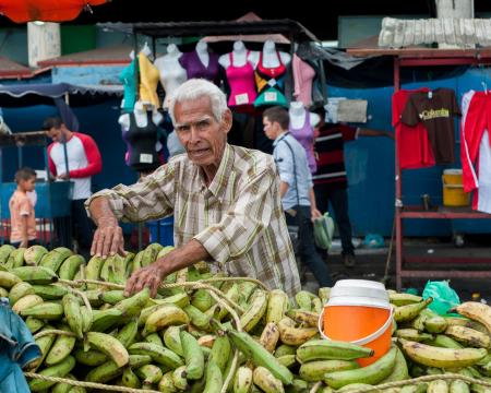 Fruit Seller