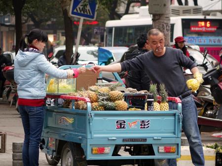 Fruit Seller
