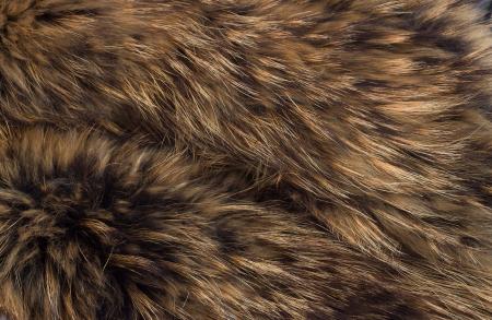 Fur