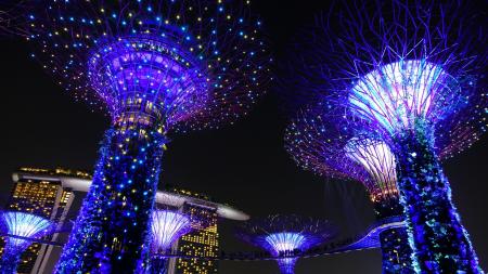 Garden By The Bay