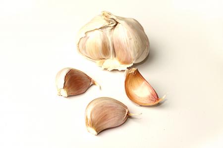Garlic on white background