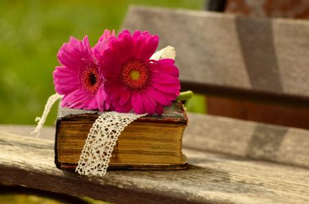 Gerbera and old Book