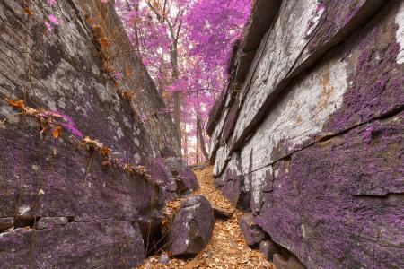 Gettysburg Grotto - Lavender Fantasy HDR