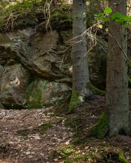Giant boulder in Gullmarsskogen ravine