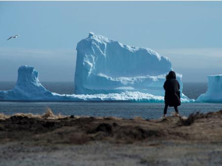 Giant Iceberg