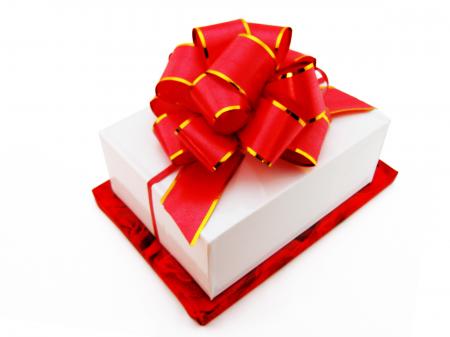 Gift with a red bow