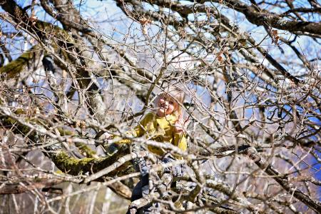 Girl on the Tree