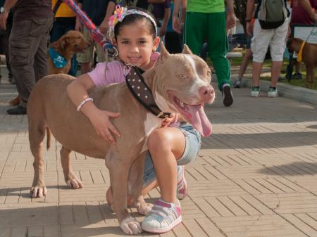 Girl with the Pet