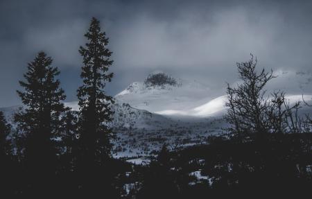 Glacier Mountains Near the Forest