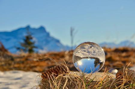 Glass Ball on Brown Nest