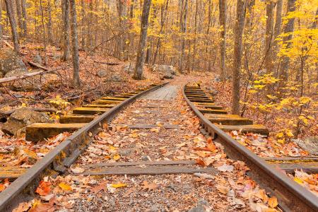 Gold Autumn Logging Railroad - HDR