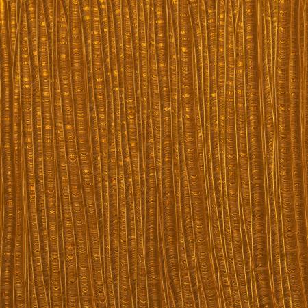 Gold Stalk Texture