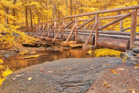 Golden Autumn Log Bridge - HDR