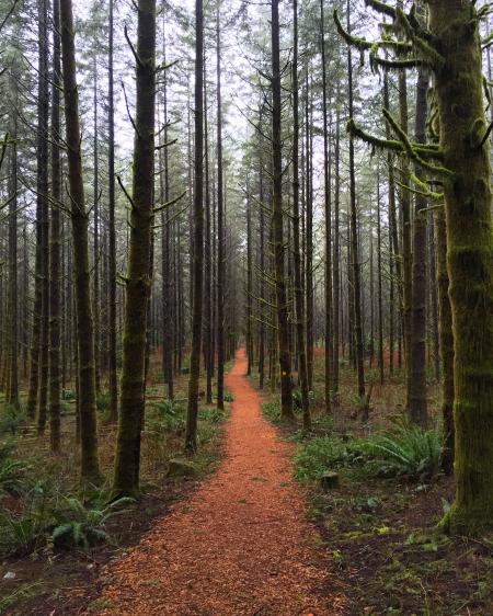 Golden Banshee Forest