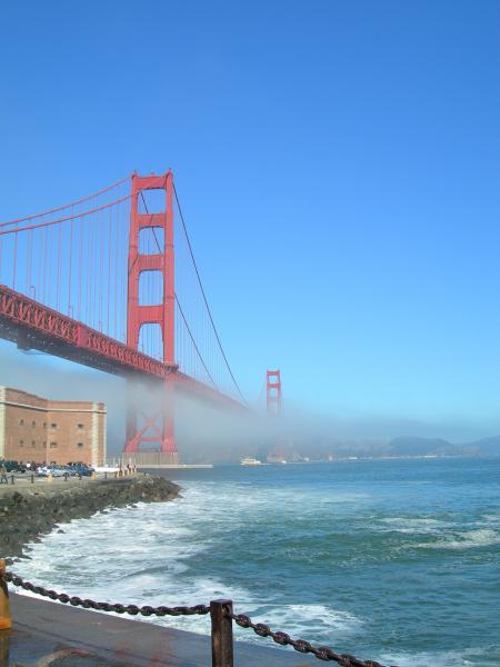 Golden Gate Fog Vertical