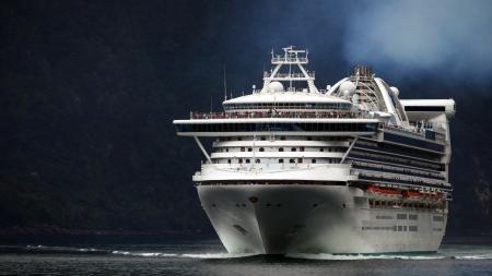 Golden Princess on Milford Sound.