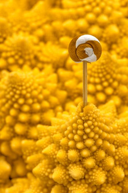 Golden Romanesco Lollipop - HDR
