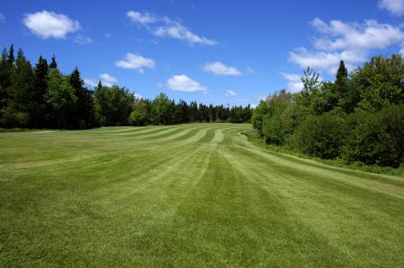 Golf Fairway